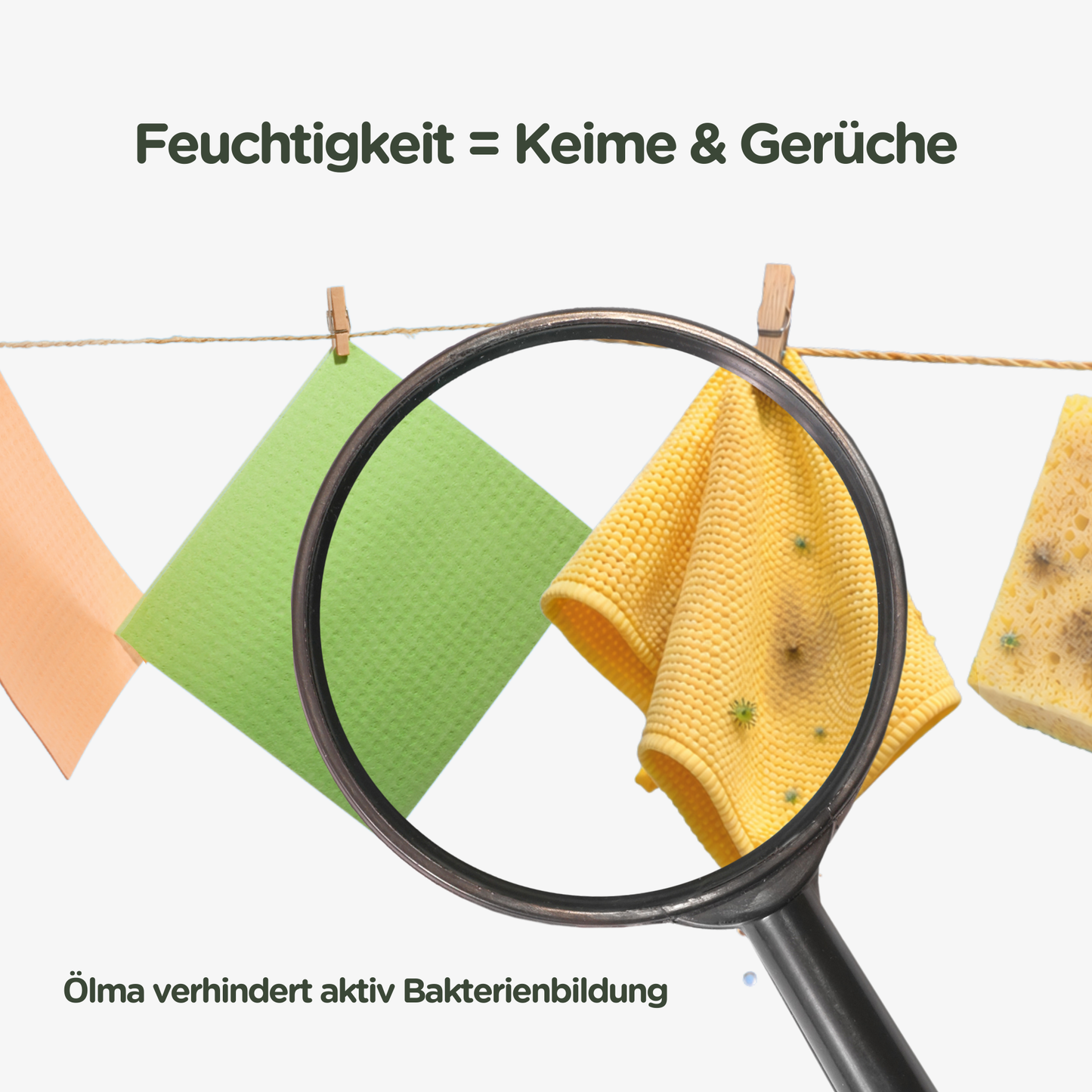 Ölma Schwammtücher 10 Stück